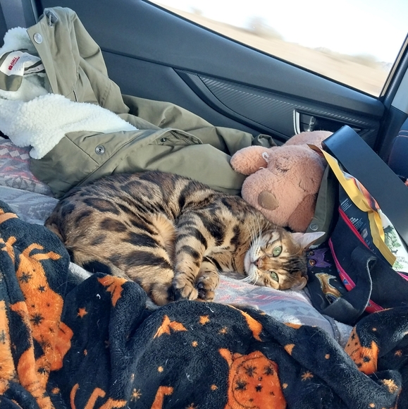 Clothes, Shoes , Randoms... - Picture 1 of 4